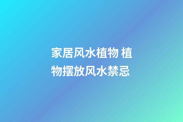 家居风水植物 植物摆放风水禁忌